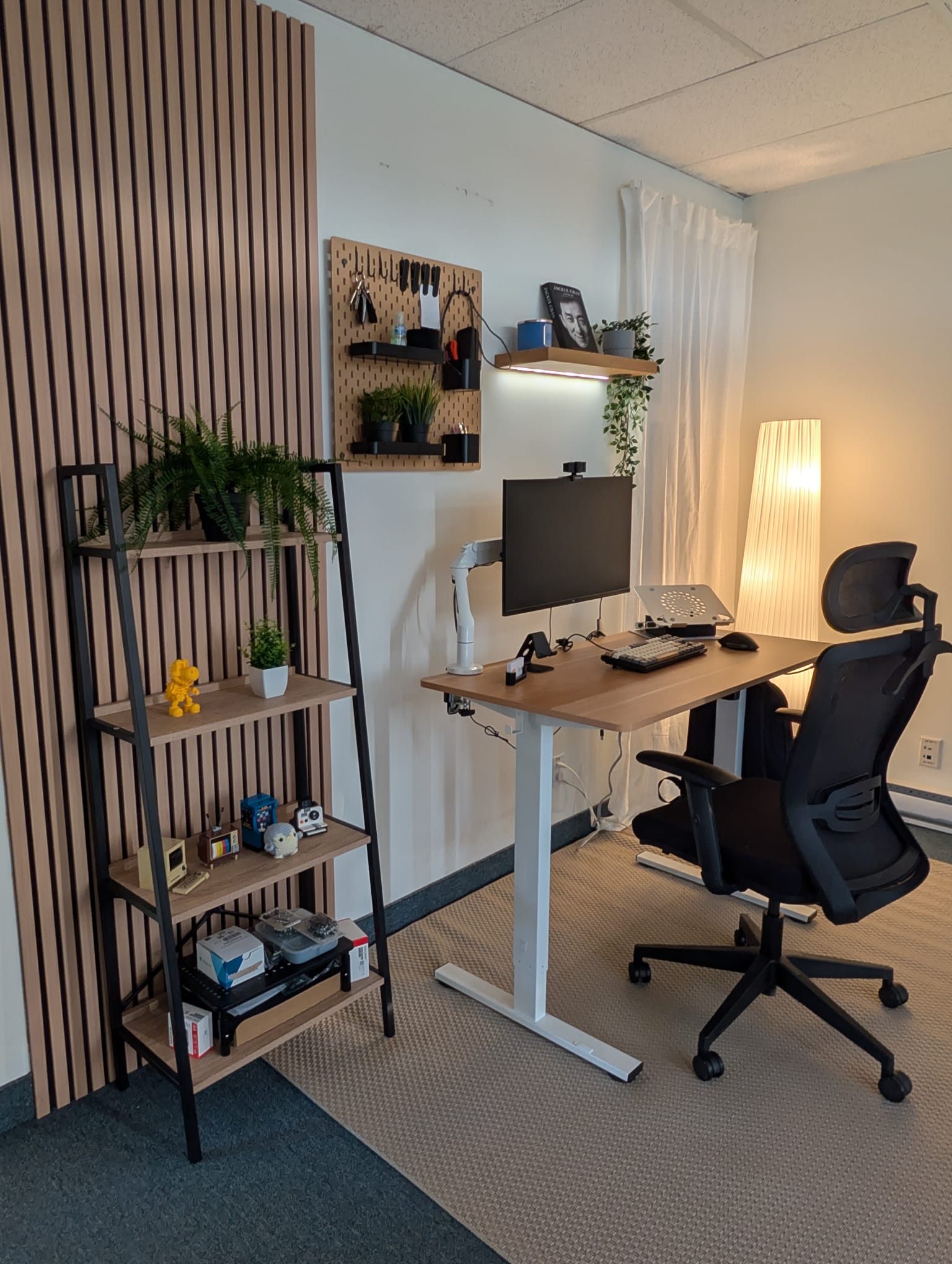 Zynix Electric Standing Desk | Height Adjustable 48” x 24”