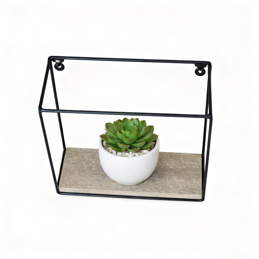 Small metal shelf with a succulent plant on a white background