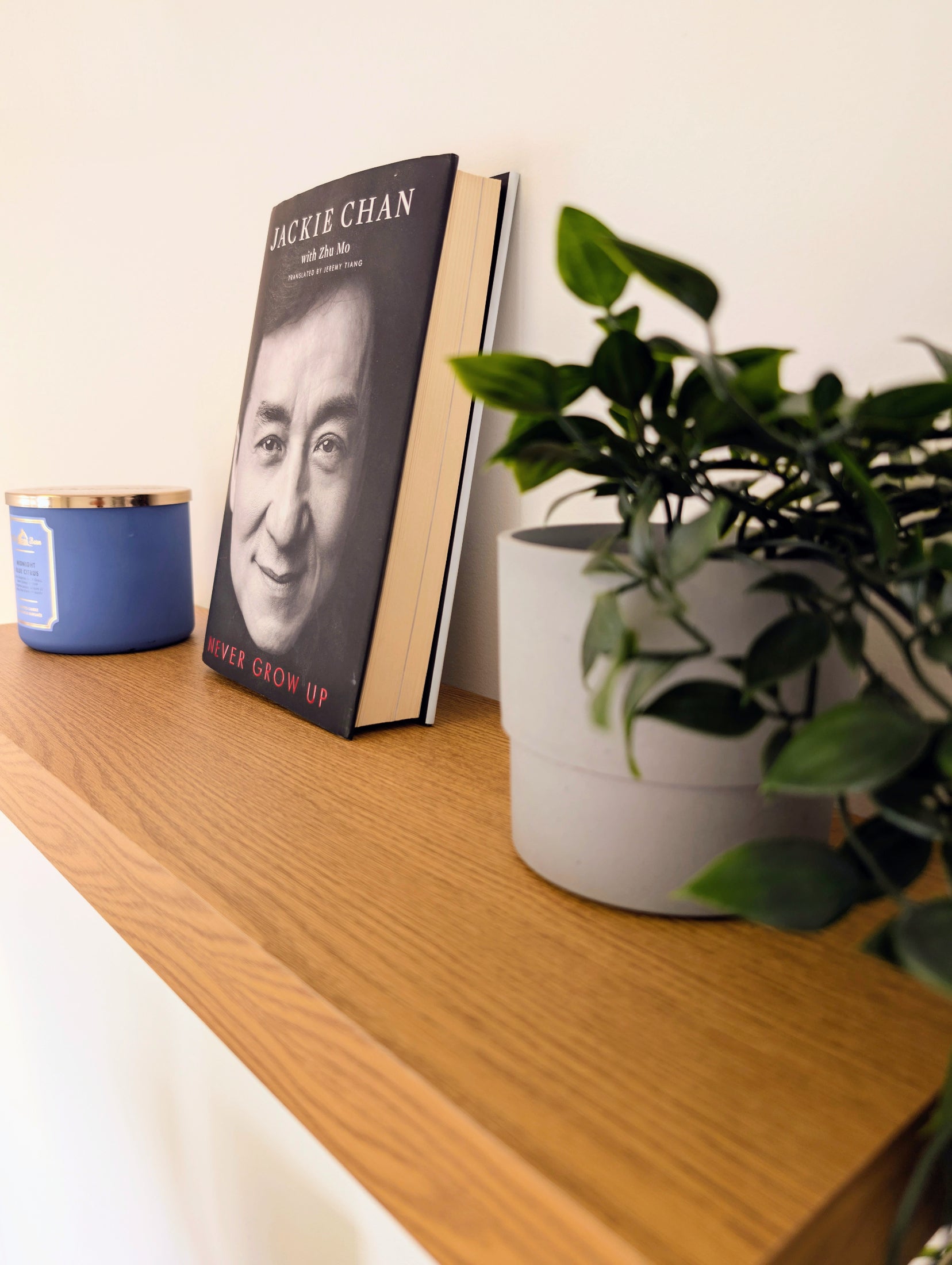 Book with a face on its cover next to a plant on a wooden shelf.