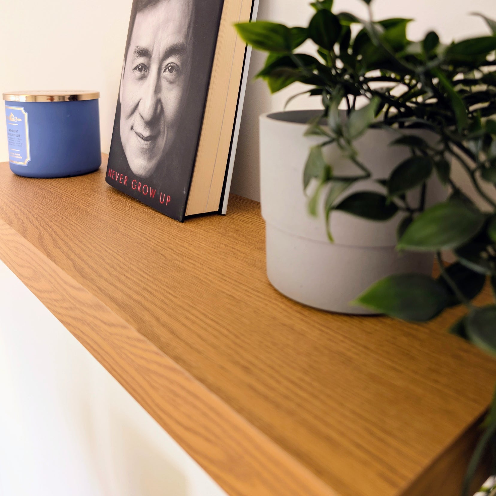 Book with a face on its cover next to a plant on a wooden shelf.