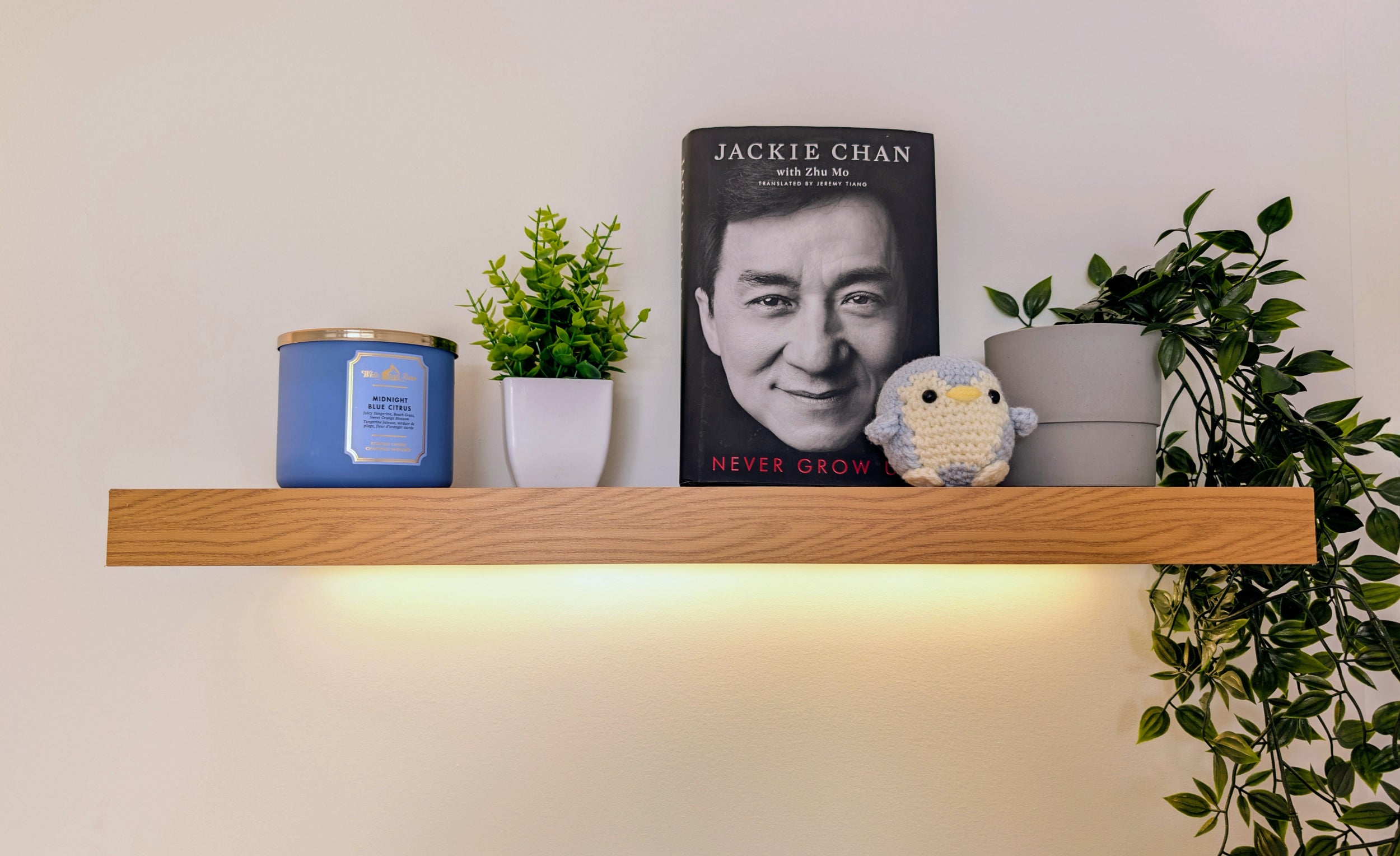 Wooden shelf with a book, small plant, and decorative items against a light wall.
