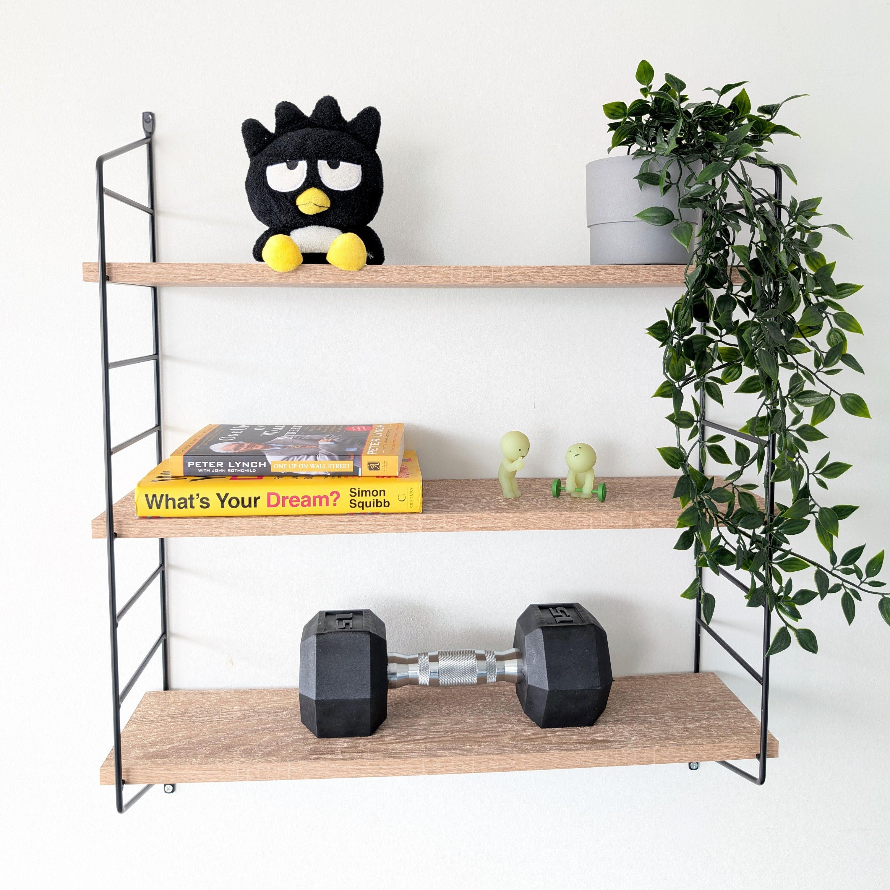 Wooden shelf with books, a plush toy, and dumbbells against a white wall with a plant.