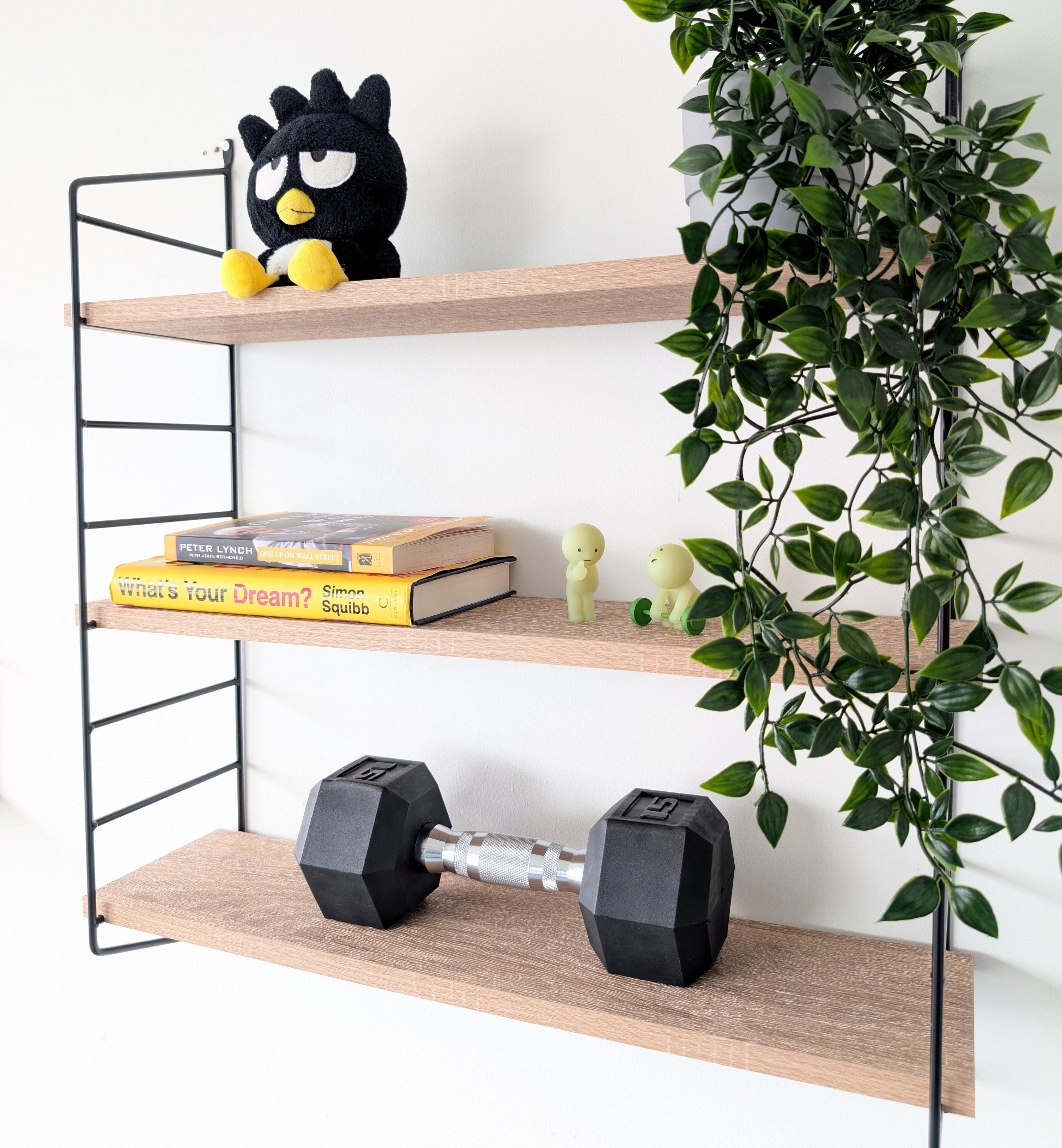Wooden shelves with dumbbells, books, and a plant on a white background
