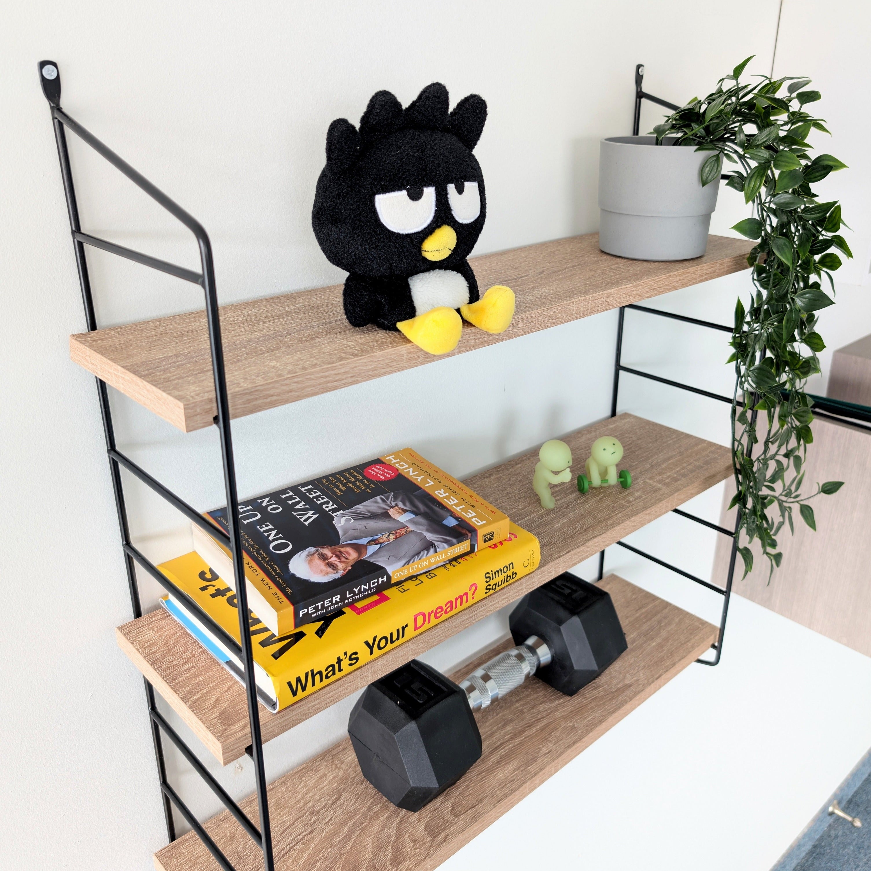 Wooden shelf with books, a plush toy, dumbbells, and a plant on a white wall background