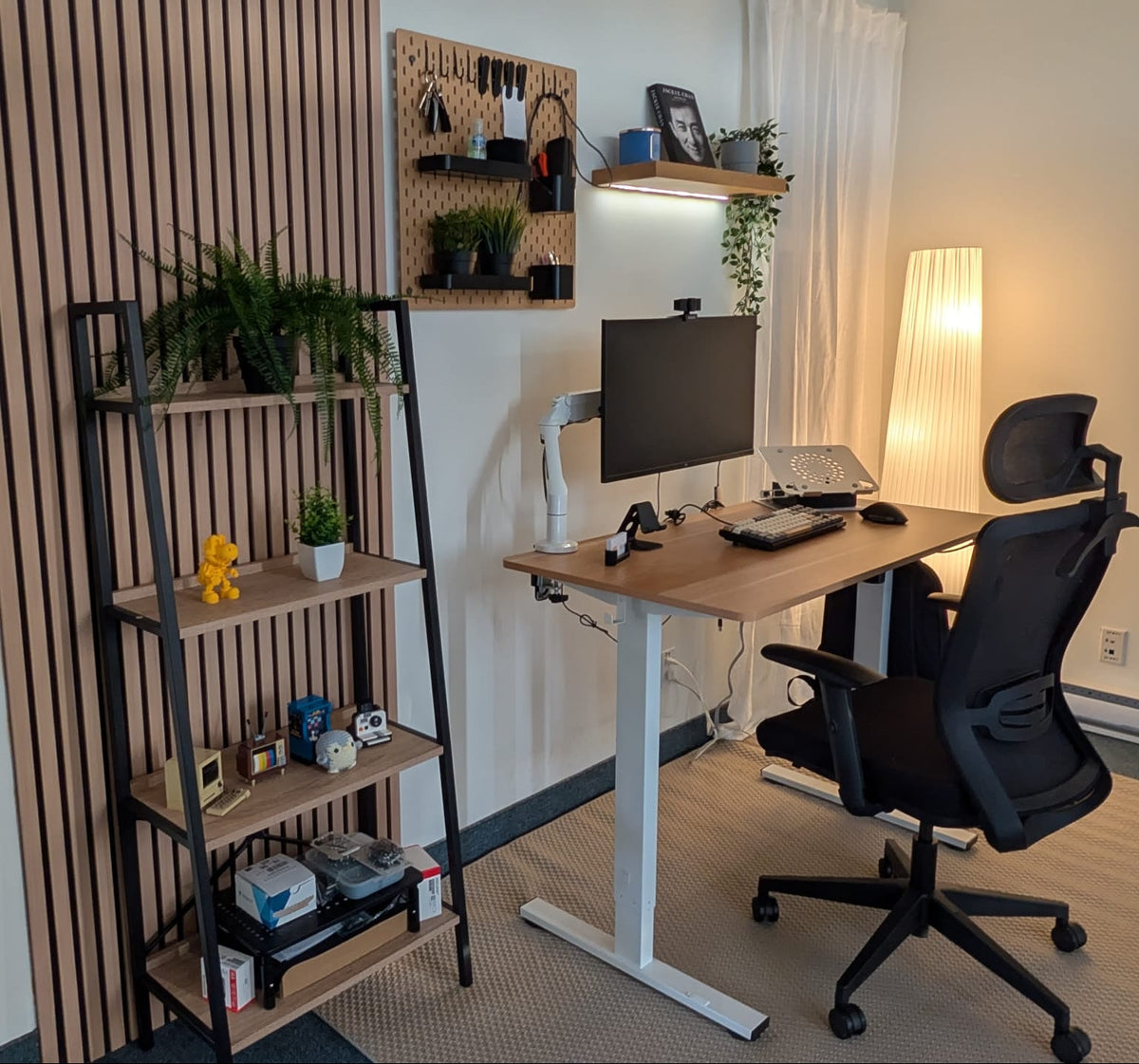 Office space with ladder shelf
