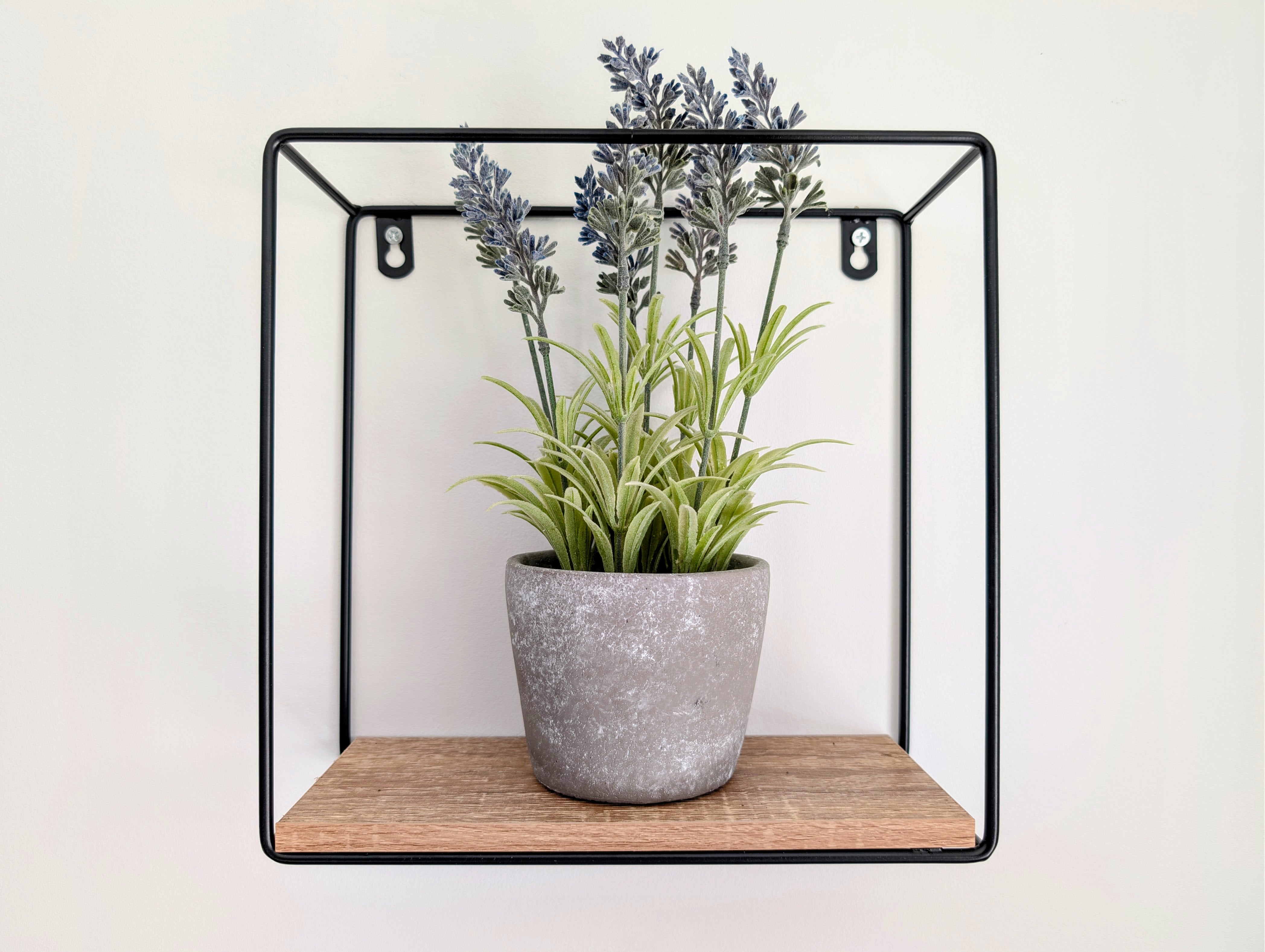 Potted plant on a wooden shelf with a black metal frame against a white background